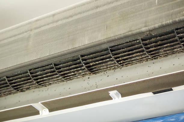 Best Residential Air Duct Cleaning  in Lakeview, OR